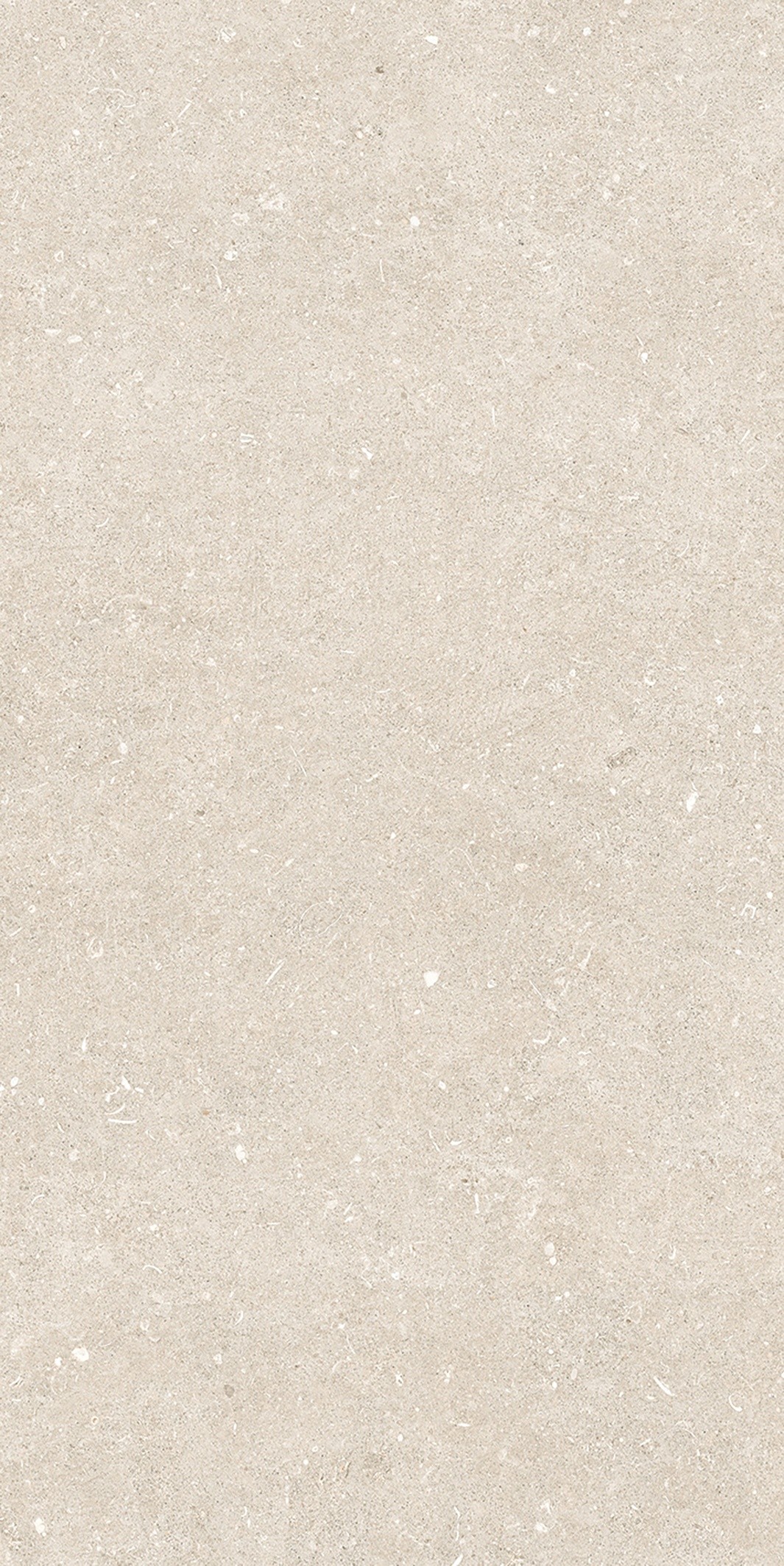 785574 На пол Rinascenza Arena Bianco Antico Matte 6mm 60x120 - фото 7