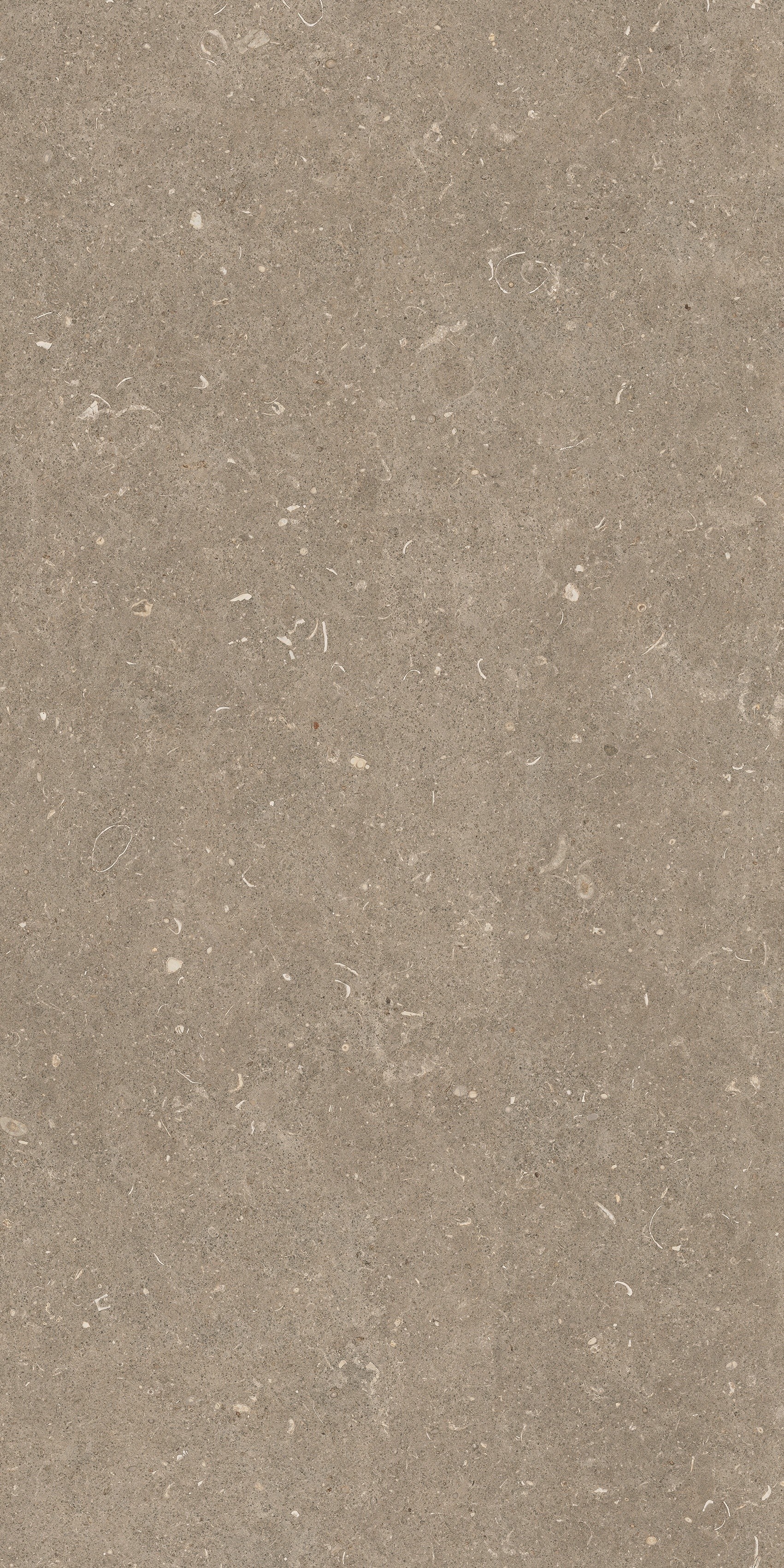 785482 На пол Rinascenza Arena Pietra Matte 60x120