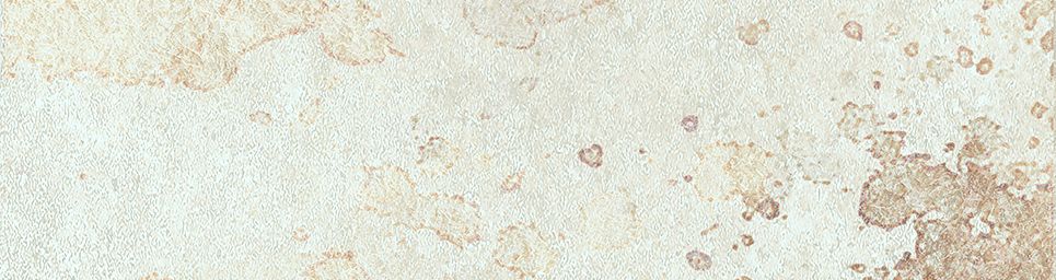 На стену Айдахо 3 бежевый 245x65 - фото 9