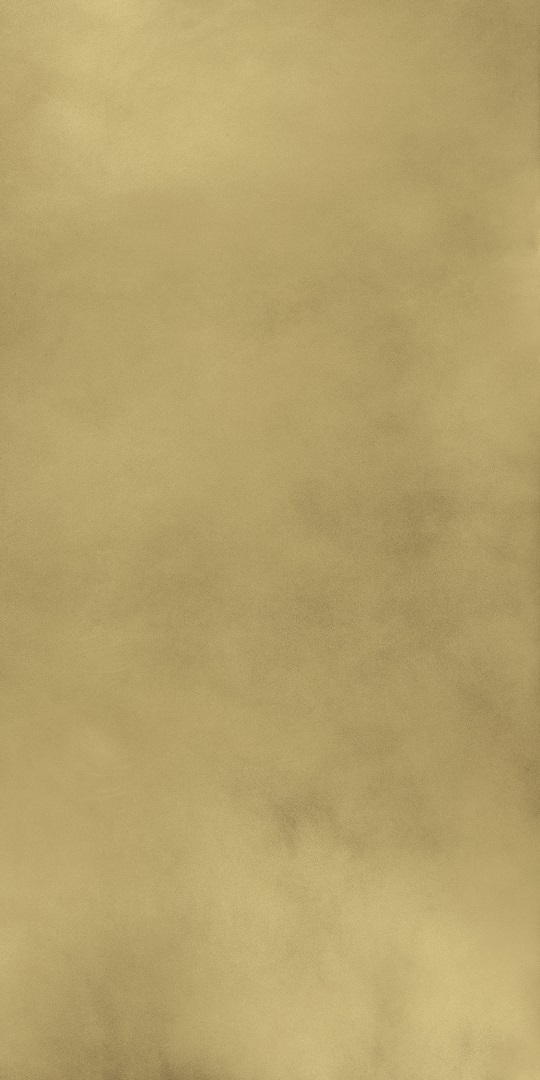 610015000645 На пол Continuum Brass Gold Lap 80x160 - фото 4