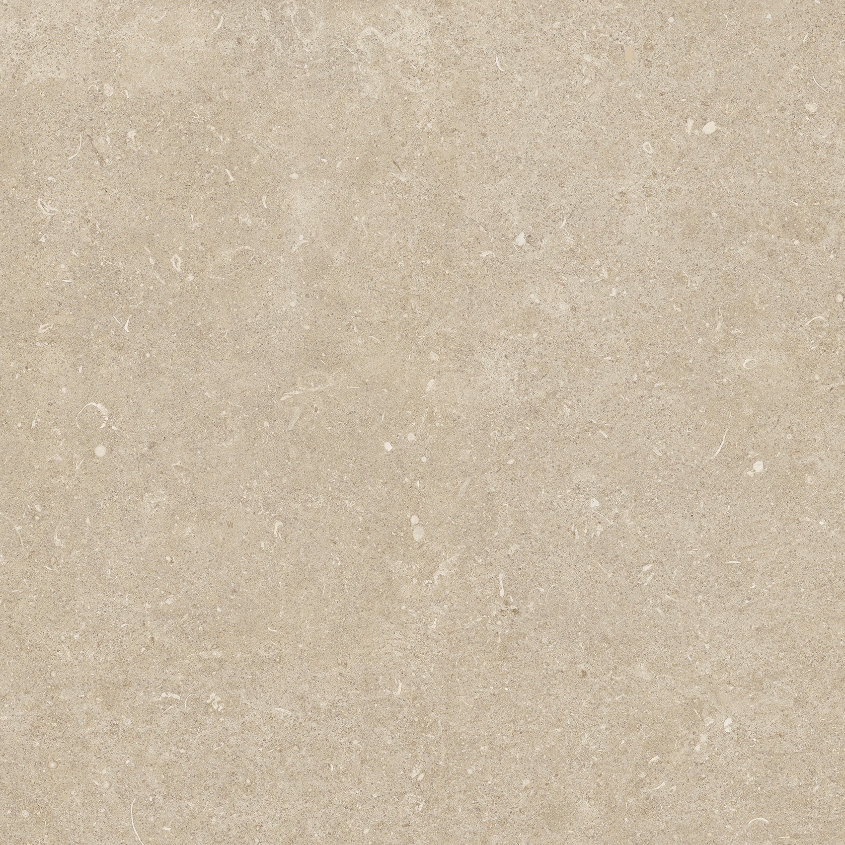 785497 На пол Rinascenza Arena Conchiglia Grip 60x60 - фото 10