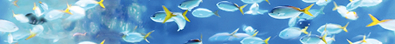  B400-1D228 Бордюр Family Рыбки