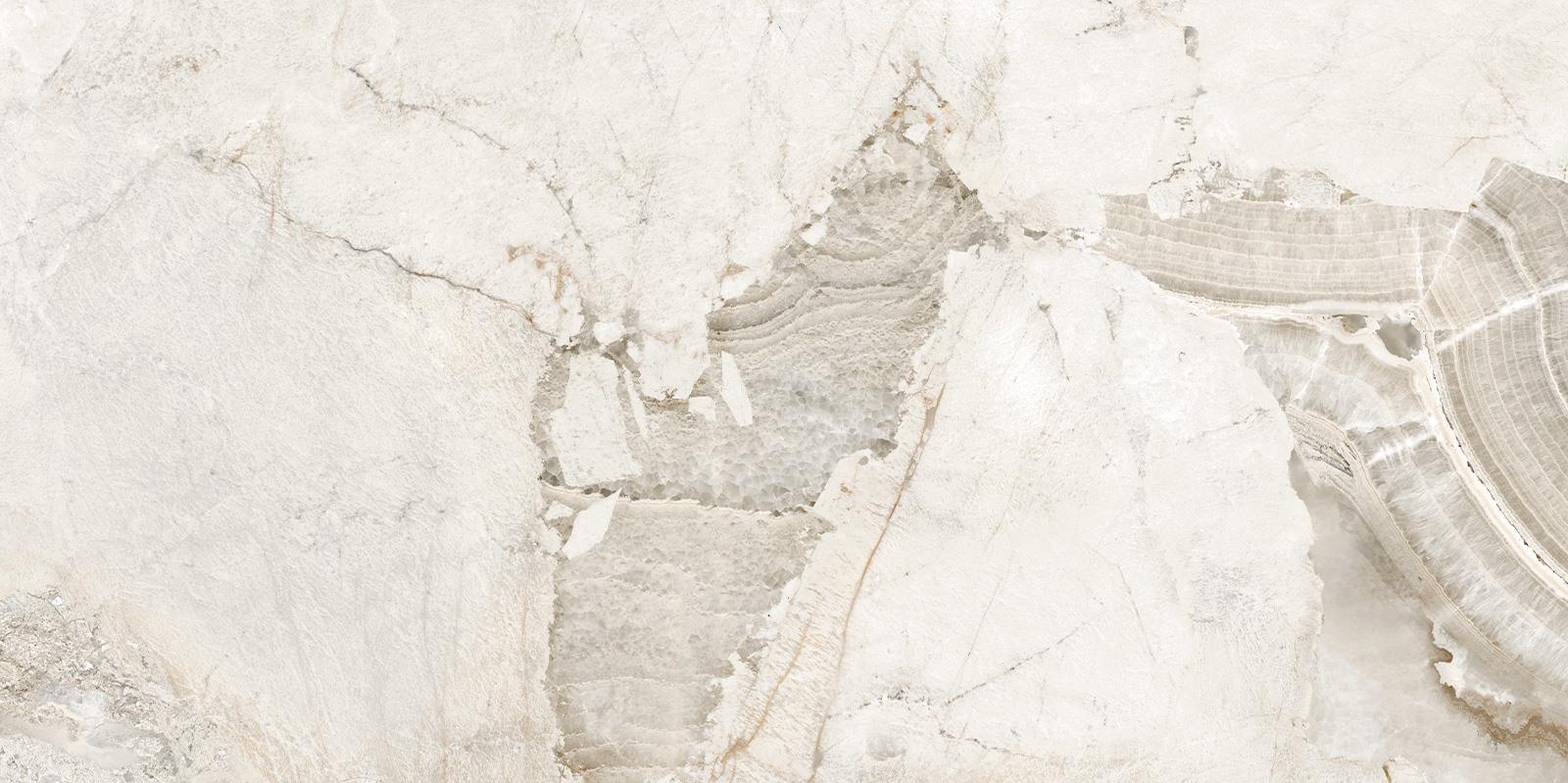 D120256LG На пол Seashell Лаппатированный граниль 600x1200x9.5 - фото 3