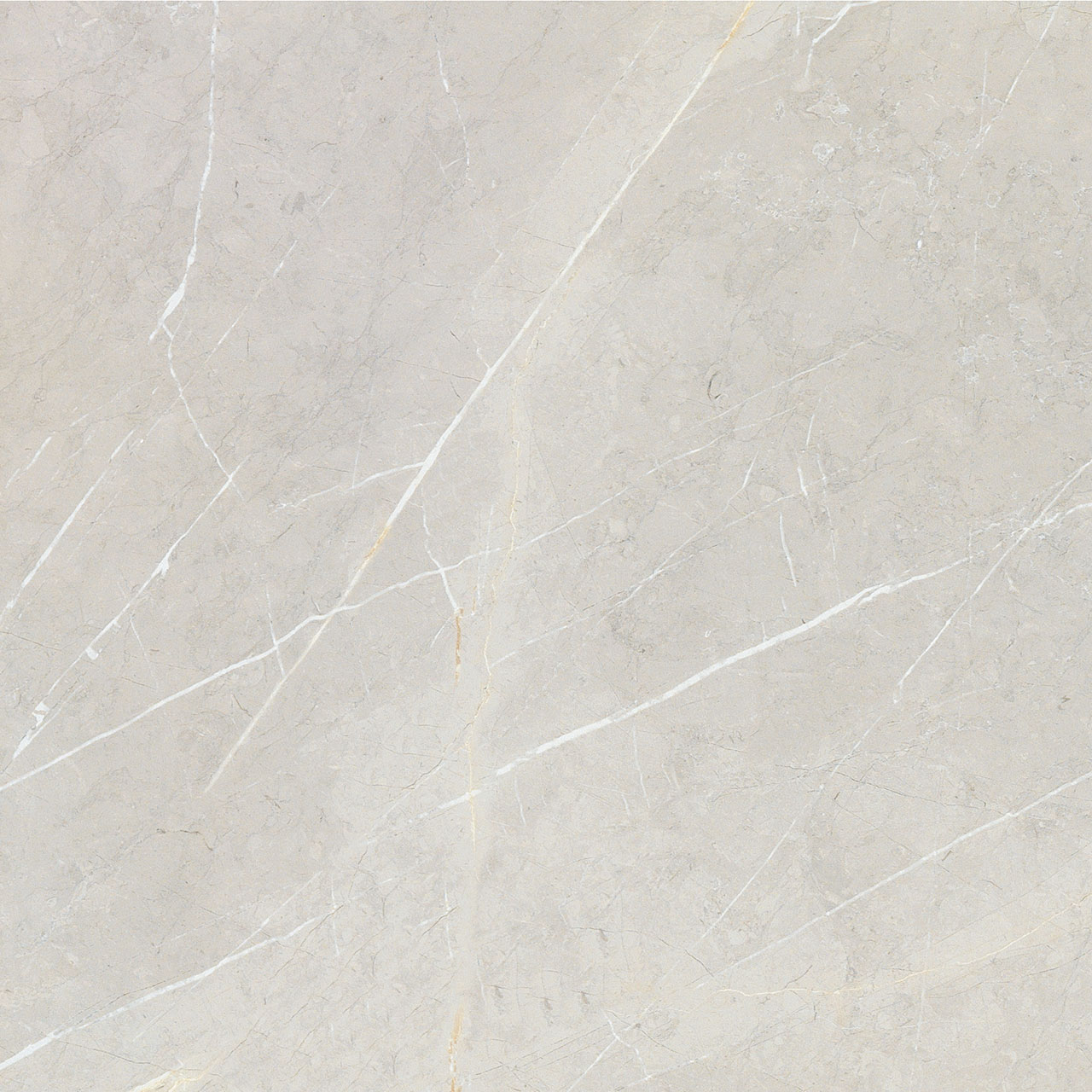 BB6NTT9101P На пол Bright And Shiny BB6NTT9101P - фото 16