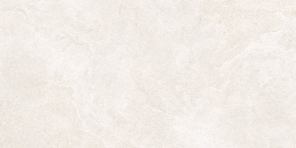 231964 На пол North Slate White 59.5x119.2