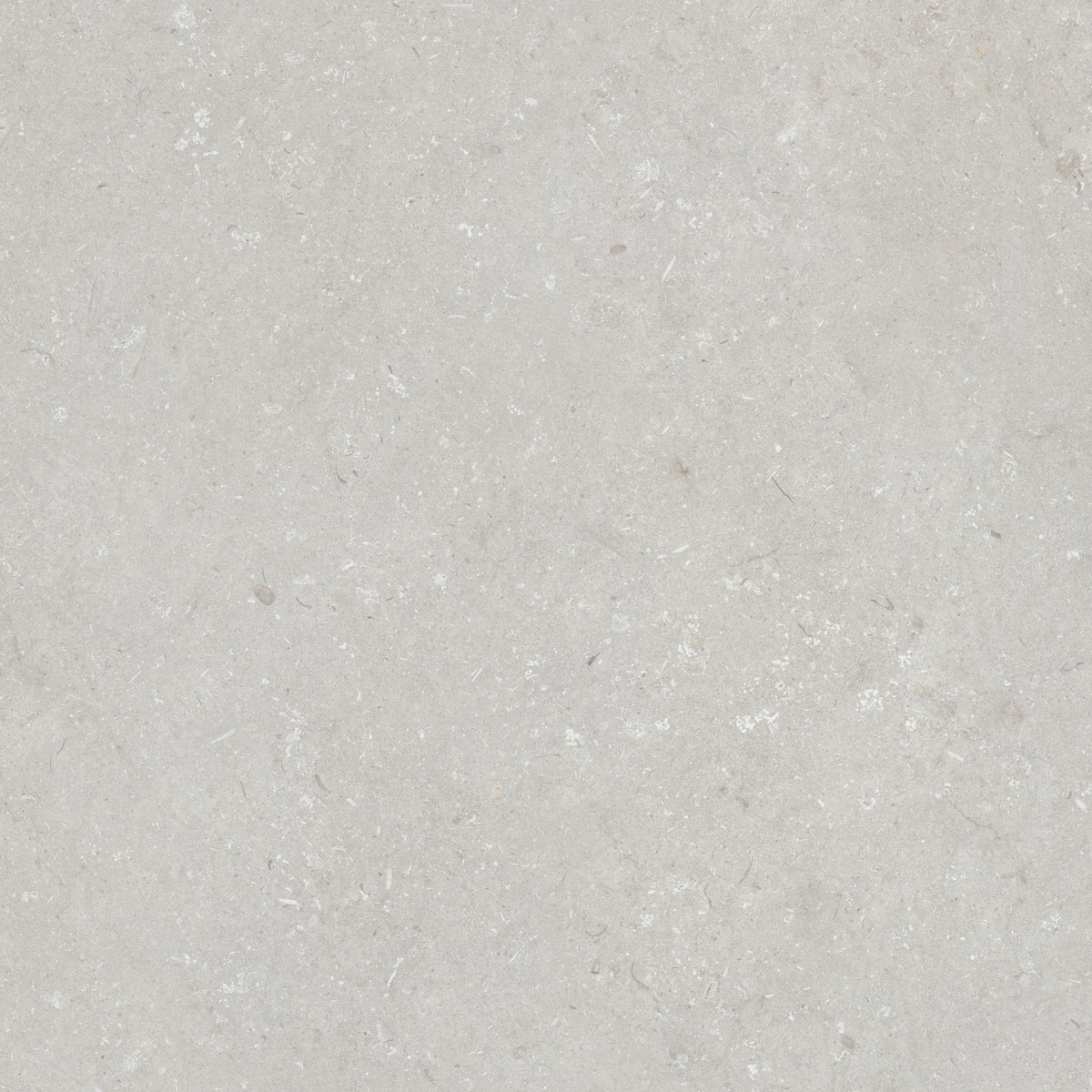 005847 На пол Shellstone Bianco 120x120 - фото 4