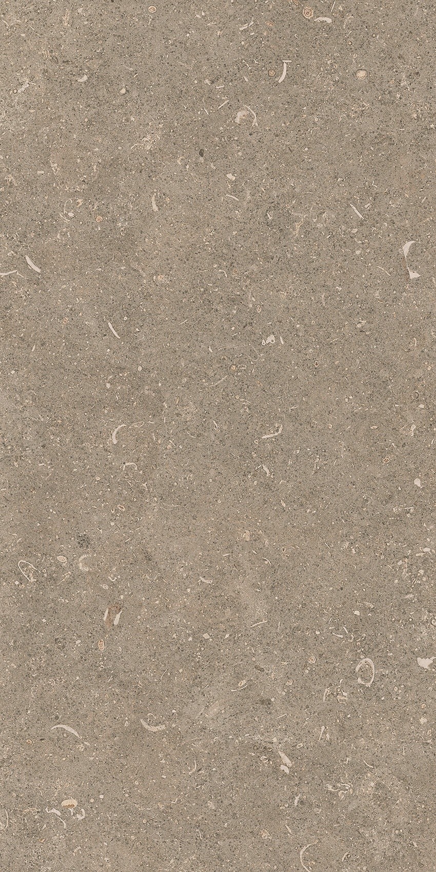 785490 На пол Rinascenza Arena Pietra Matte 30x60 - фото 4