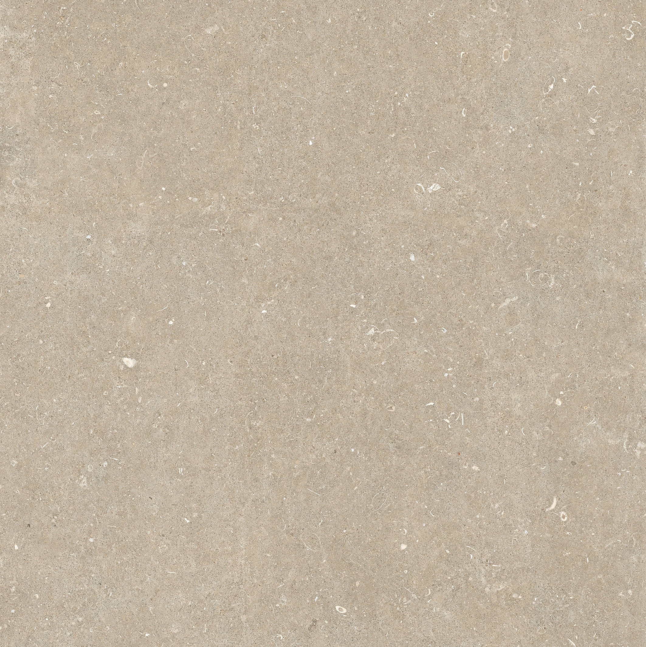 785579 На пол Rinascenza Arena Conchiglia Matte 6mm 120x120 - фото 4