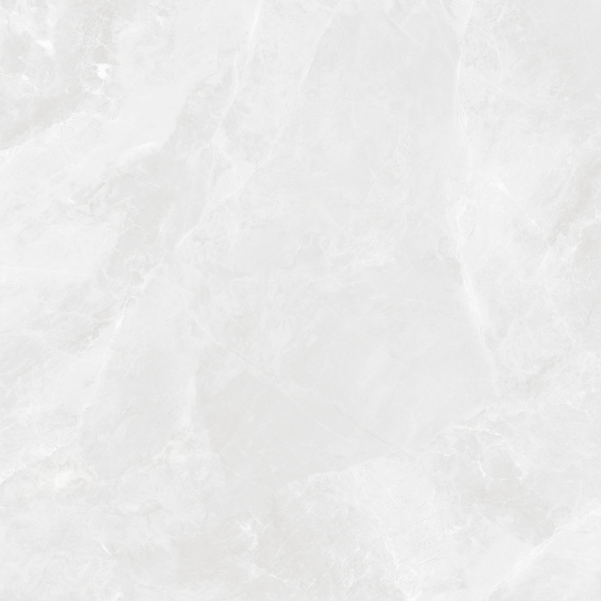 CR6060G0391R На пол Regnum Bianco светло-серый матовый 59.5х59.5 - фото 8