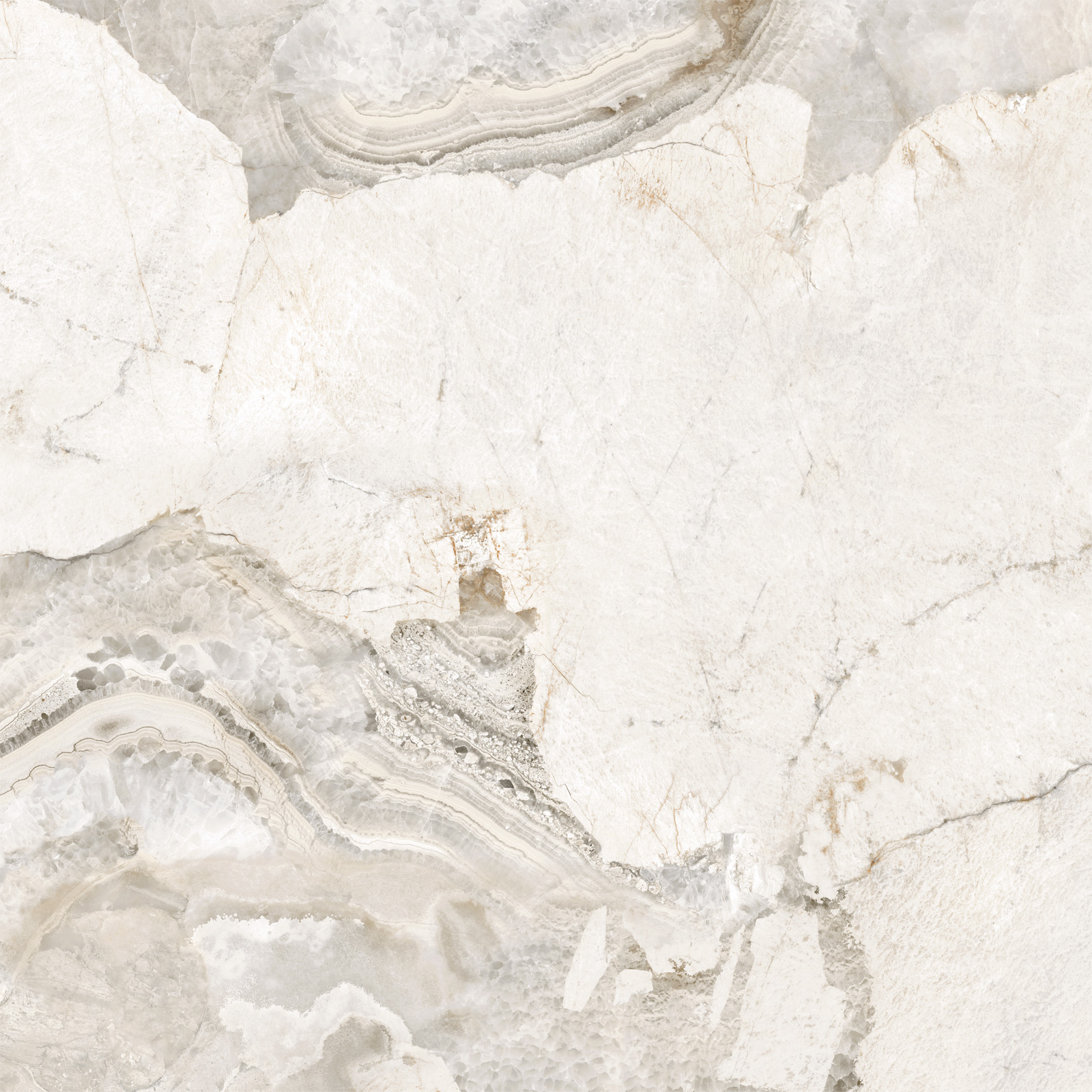 D60256М На пол Seashell Матовый 600x600x9.5 - фото 5