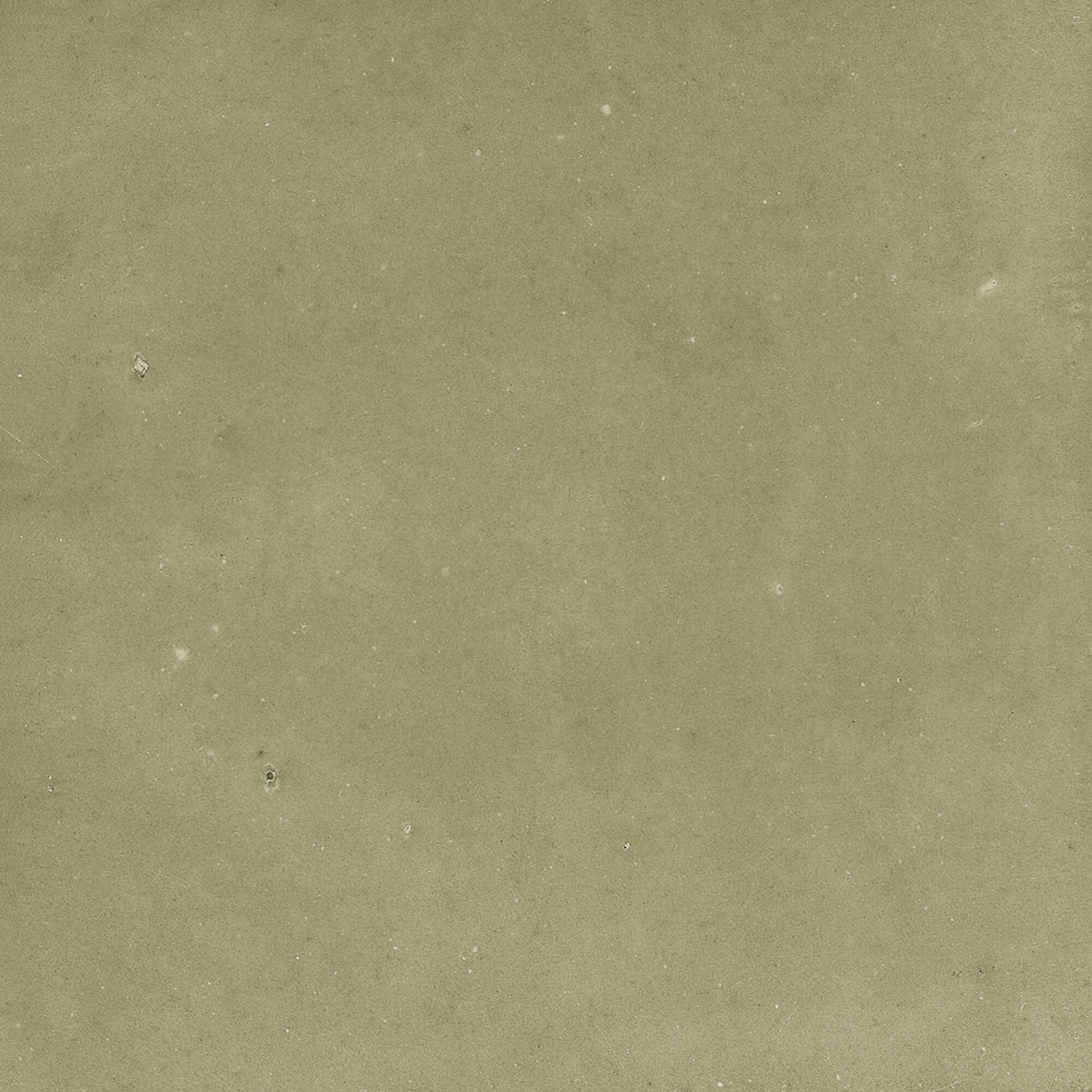 43292 На стену Samira Sage 10x10 - фото 4