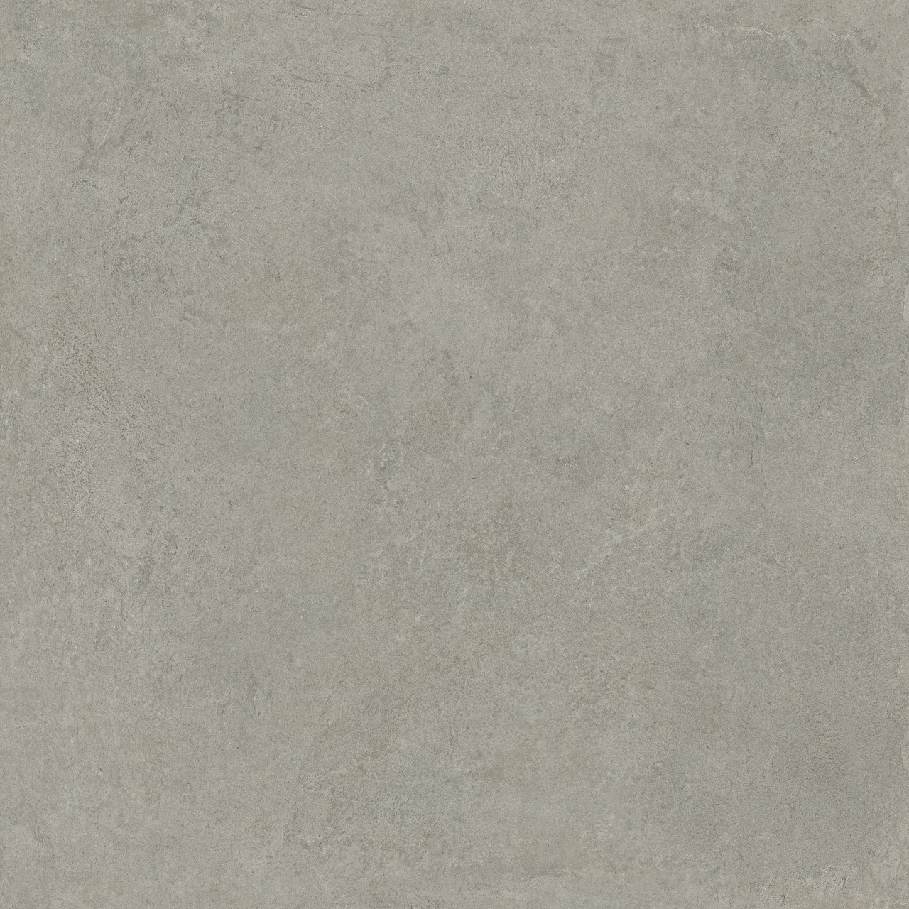 610010002977 На пол Rinascente Fusion / Ринашенте Фьюжн Argilla / Арджилла 120x120 - фото 9