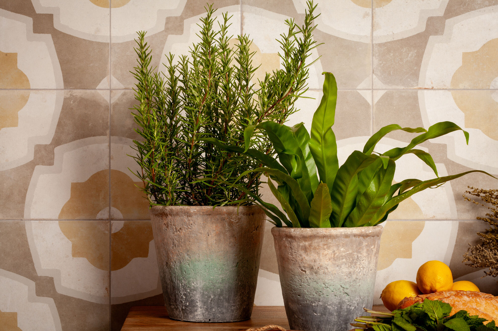 Peronda Fs Farfalla - фото 5