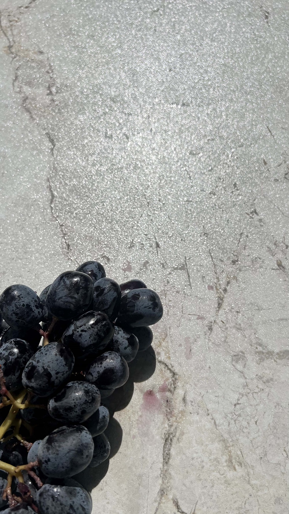 Realistik Esme - фото 6