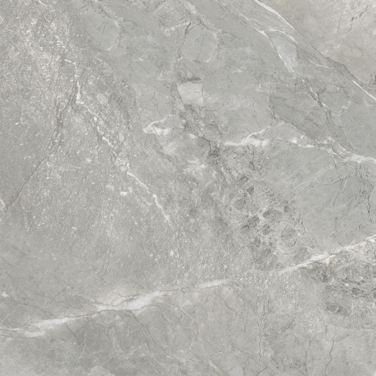 D60259M На пол Wild Light матовый 600x600x9.5 - фото 5