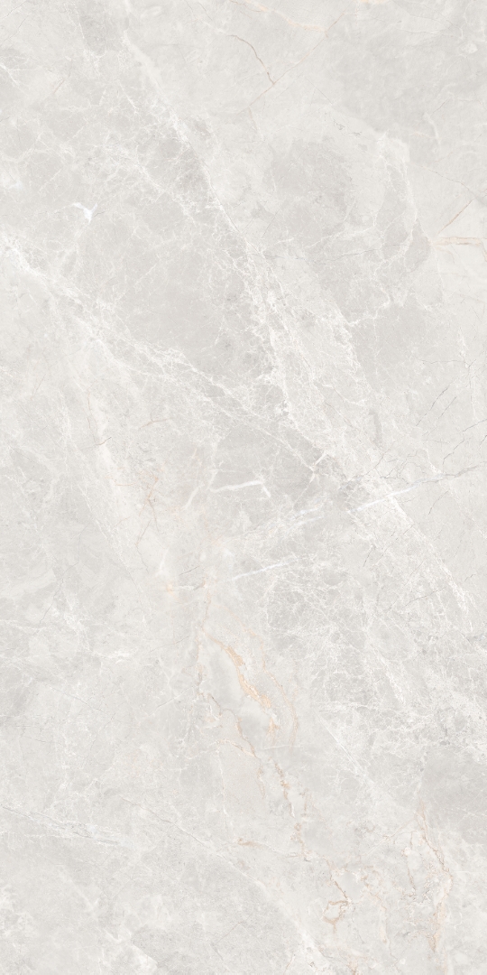 GT1206019606MDGR На пол Anatolia Светло-серый матовый 60x120