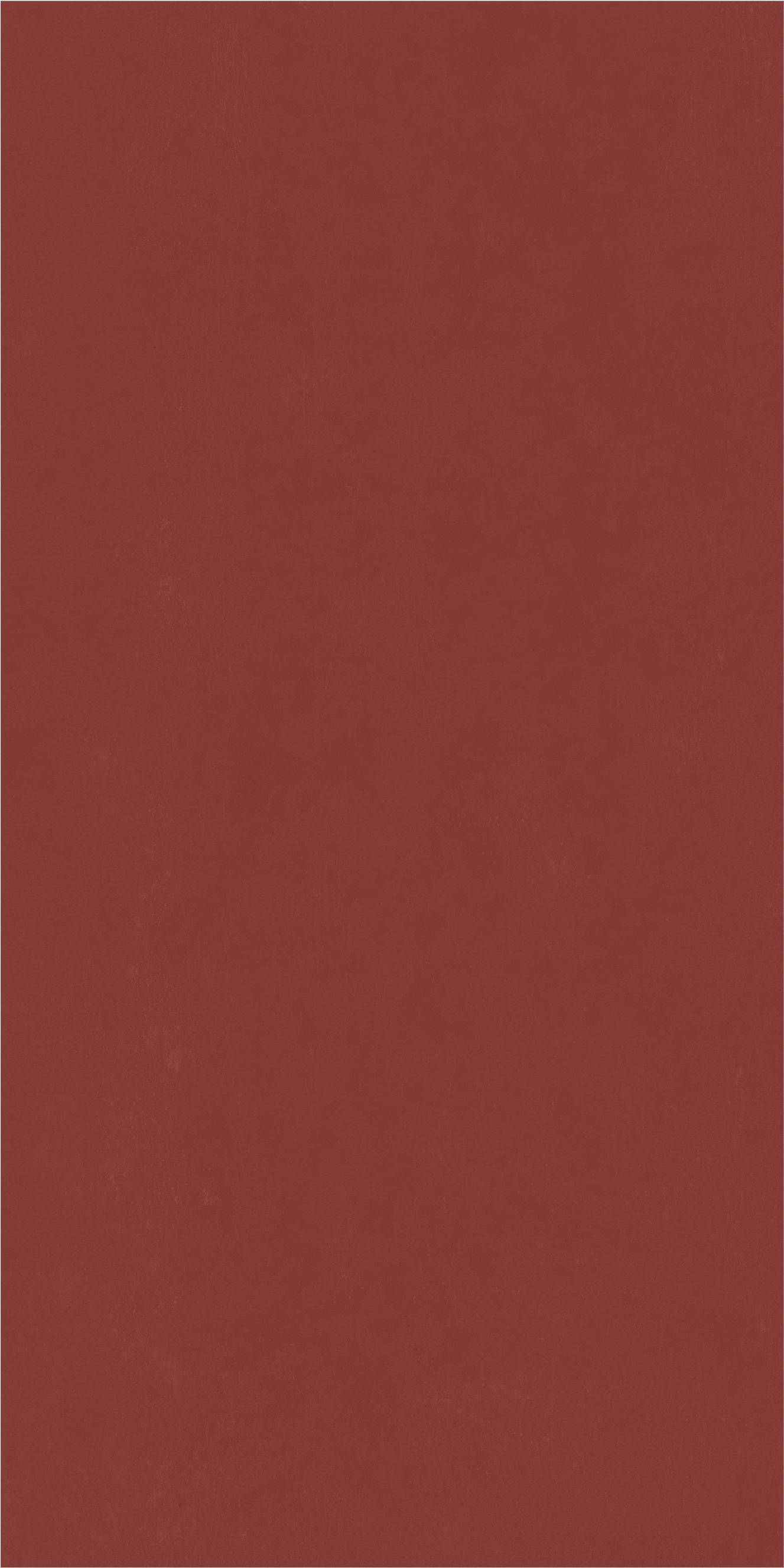 600010002374 На стену Surface Эксклюзив Рэд Нат Рет 80x160 - фото 2