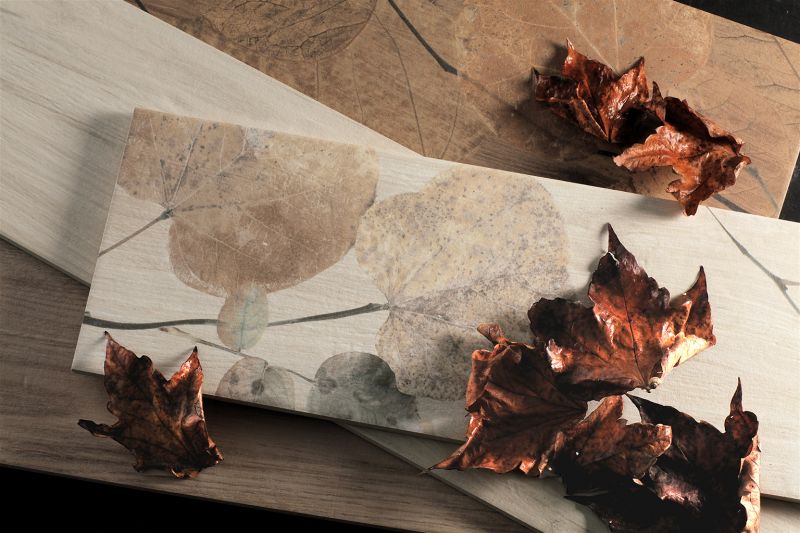 27FI01FO  Декор Foreste D'italia Foliage Beige - фото 4