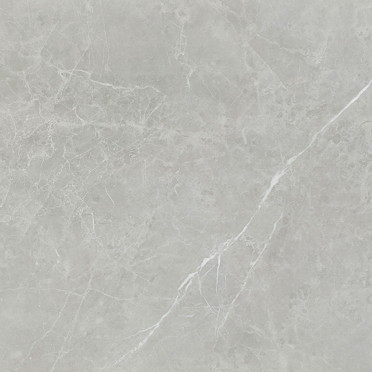 PT6NTT1102L На пол Pietra Серый Лаппатированный 60x60 - фото 10