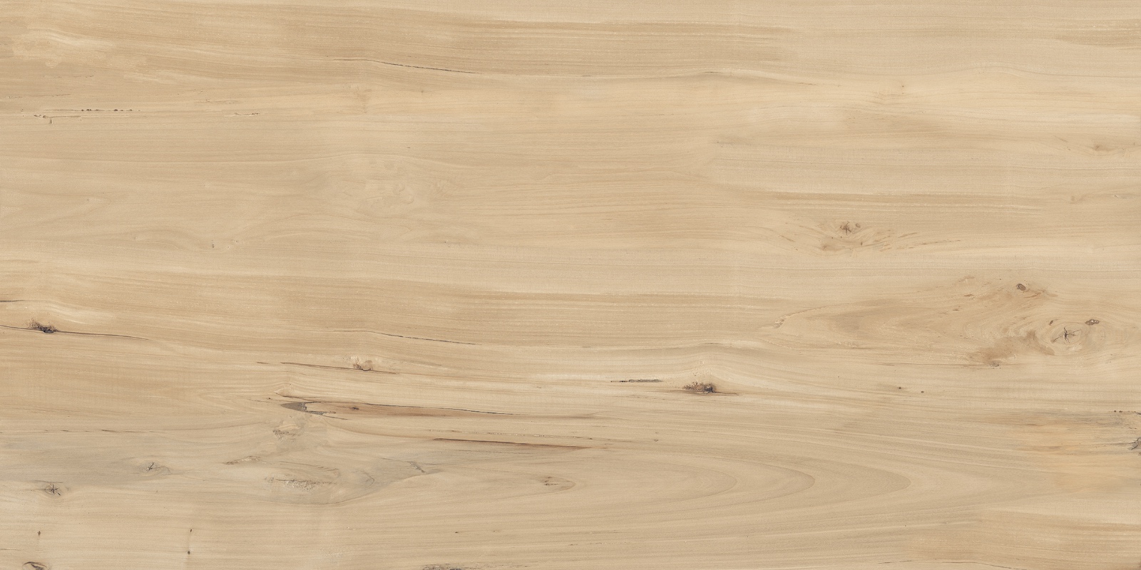 FVL4511M На пол Forest Sweet Home Matt 60x120 - фото 2