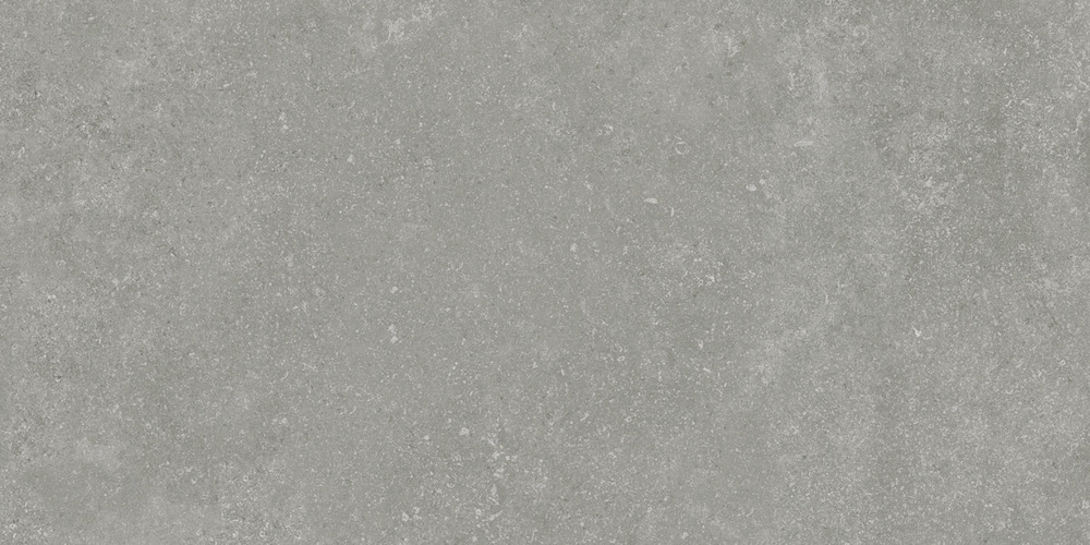 ID9062b054SR На пол Идальго Граните Глория Gray / Серый SR 120x60 - фото 2