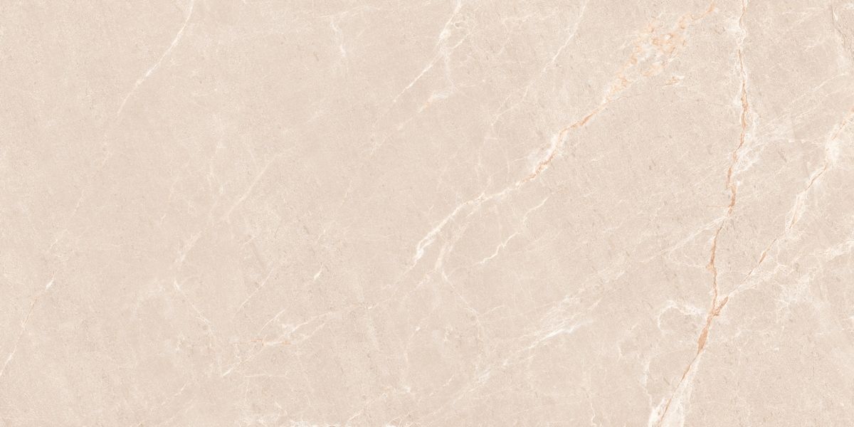 N20554 На пол Stone Persian Beige Matt 60x120 - фото 2