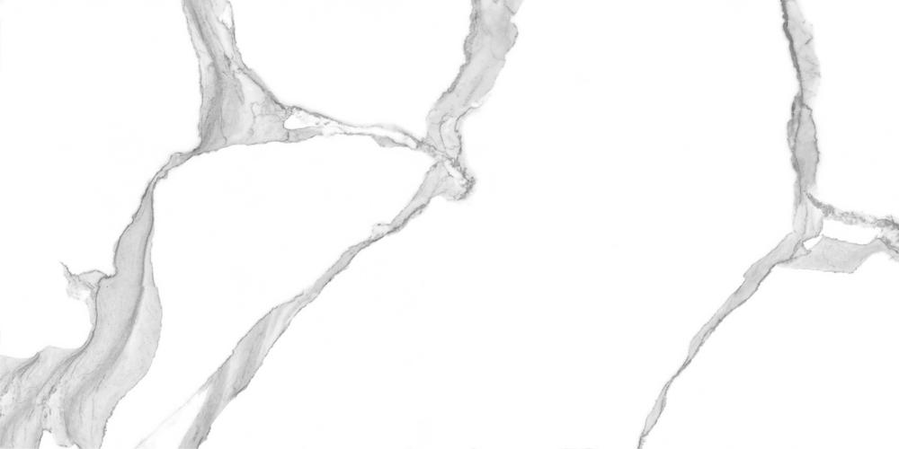 GT120601503PR На пол Anima Белый полированный 60x120