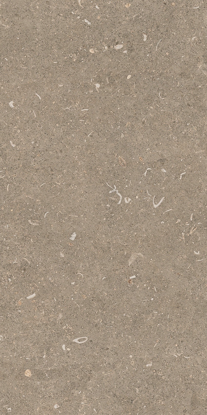 785490 На пол Rinascenza Arena Pietra Matte 30x60 - фото 10