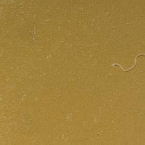 На стену Gold GR 01G Gold 1x1 31.8x31.8