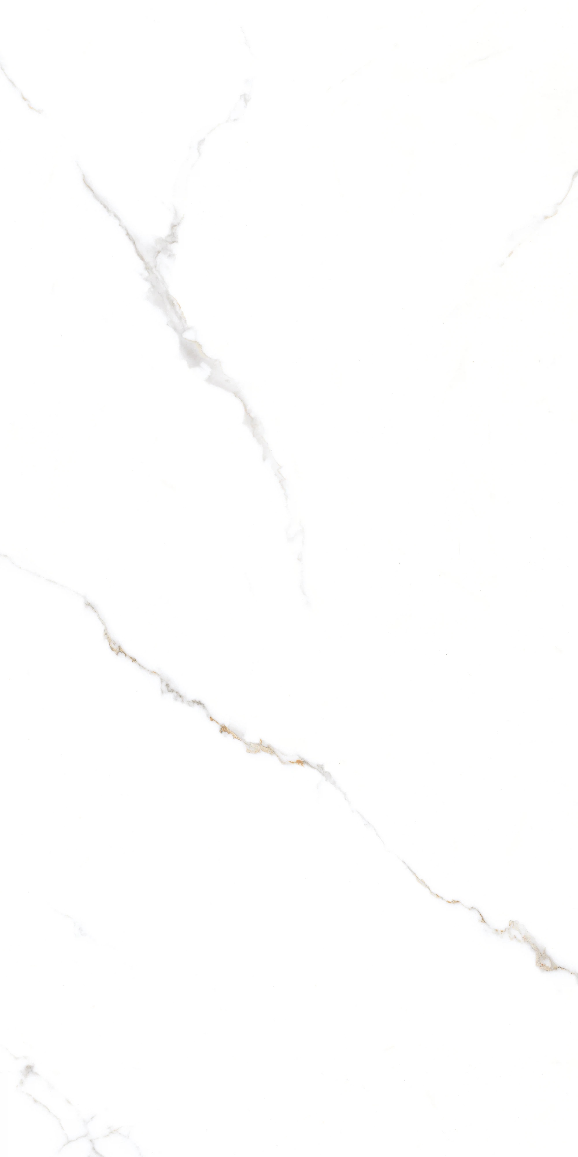 GT1206015103PR На пол Corus Белый полированный 60x120 - фото 3