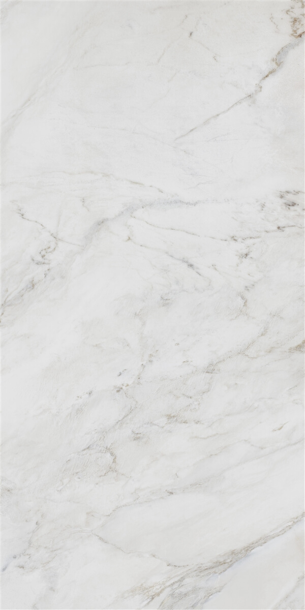 P19809 На пол Anderson White Polish Rec 60x120