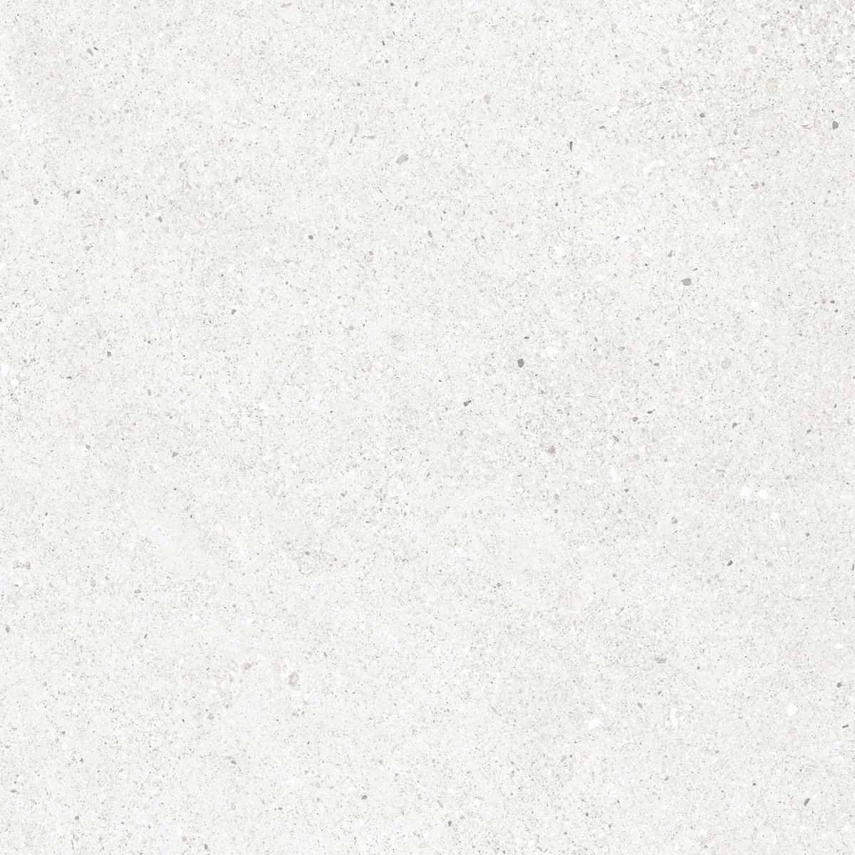 CR6060G0471R На пол Perla Bianco светло-серый матовый 59.5х59.5 - фото 4