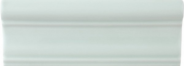 ADST5251 Бордюр Studio Cornisa Fern 7.5x19.8