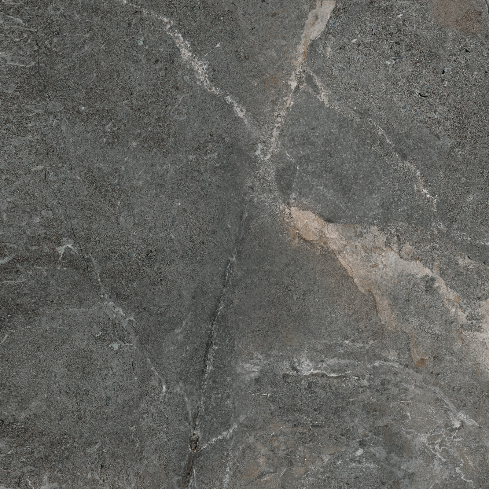 GP6060TIA25M На пол Titanium Graphite матовый 600x600x9.5 - фото 15