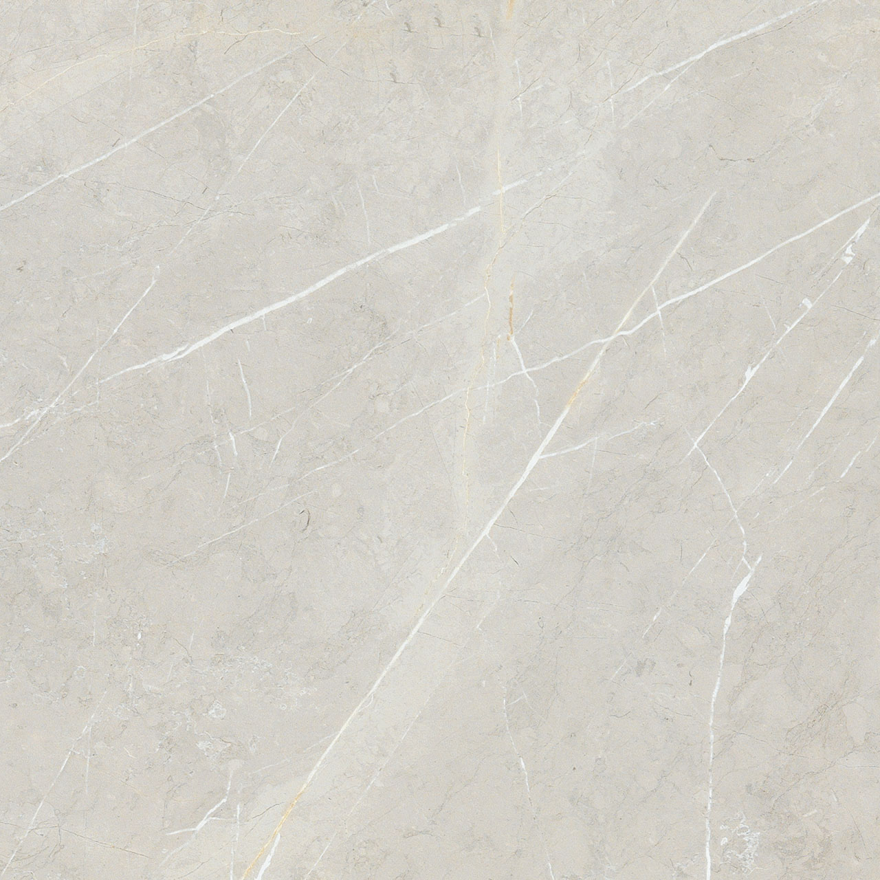 BB6NTT9101P На пол Bright And Shiny BB6NTT9101P