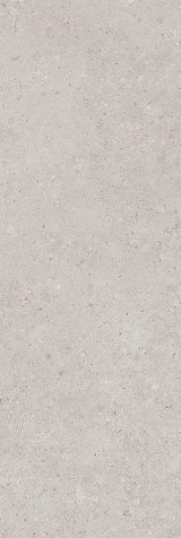 14053R Настенная Риккарди Серый Светлый Матовый Обрезной 40x120 - фото 3