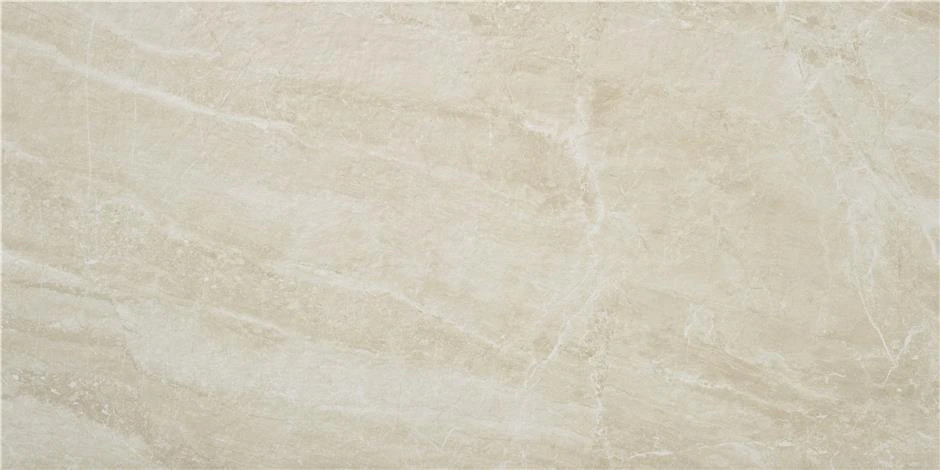 CAN5SUBLBDOA На пол Sublime Beige MT Rect 60x120