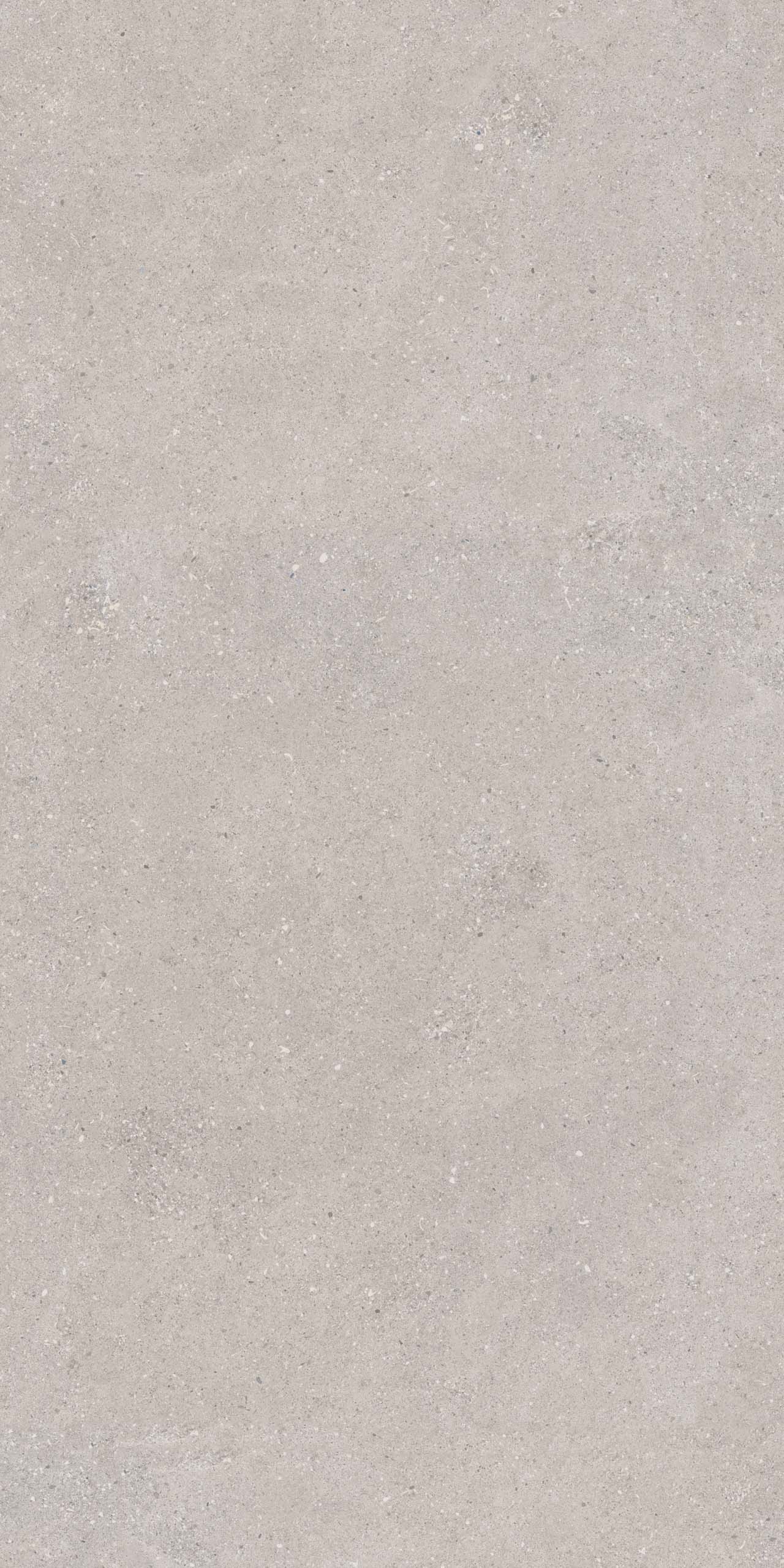 CE02/NR_R9/60x120x9R/GW На пол Спенс CE02 Светло-серый Структурированный Рект 60x120x9 - фото 6