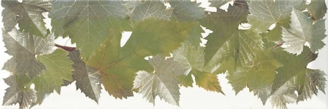 Декор Tempranillo Cen.Hojas Blanco