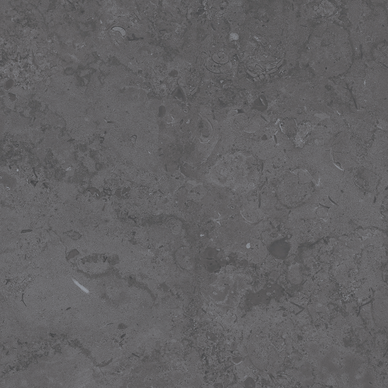 DD640820R На пол Про Лаймстоун Серый темный 9мм 60х60 - фото 11