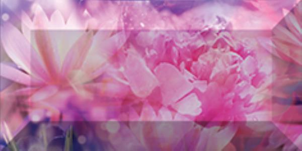 br1020D300-2 Бордюр Treasure Цветок рельефный 2