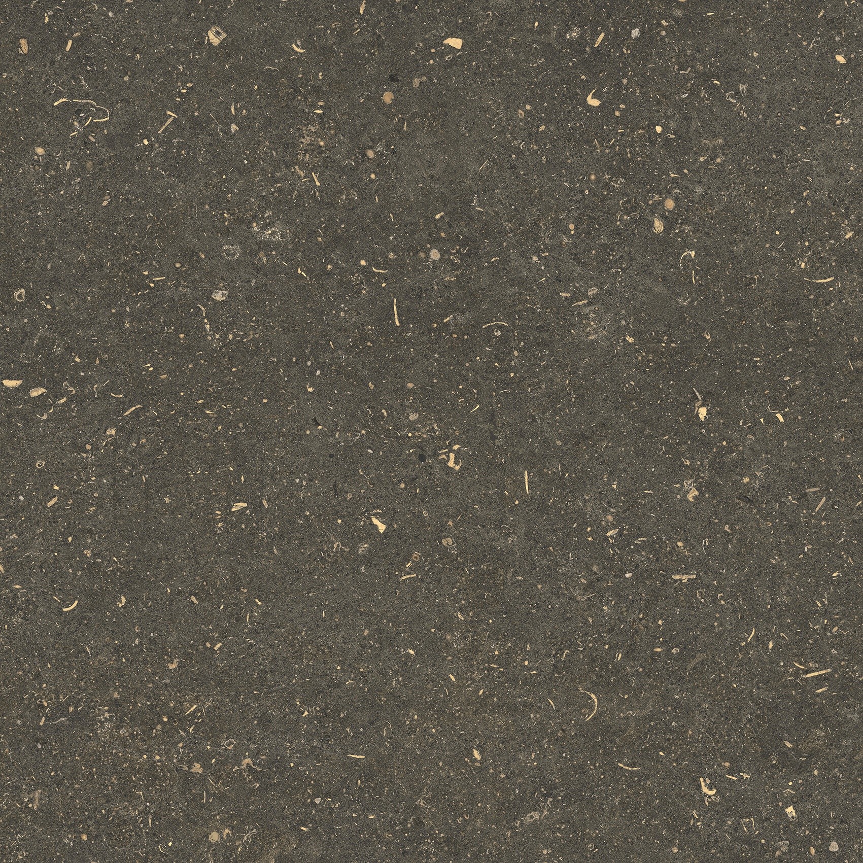 785499 На пол Rinascenza Arena Platino Grip 60x60 - фото 7