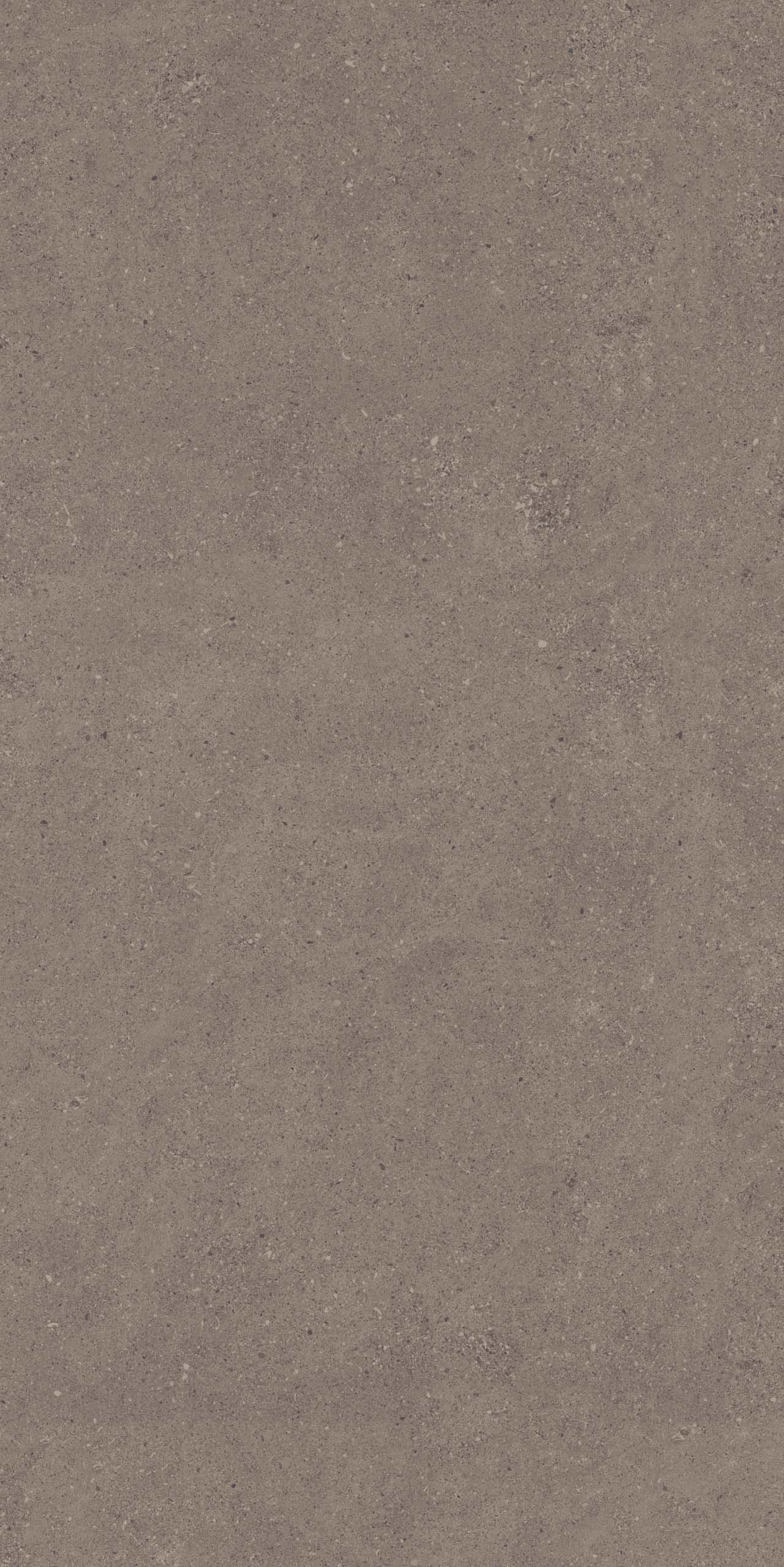 CE04/NR_R9/60x120x9R/GW На пол Спенс CE04 Темно-серый Структурированный Рект 60x120x9 - фото 7