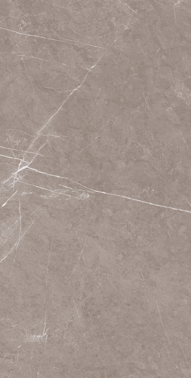 1070 На пол Stone Monte Taupe Carv 120x60 - фото 4