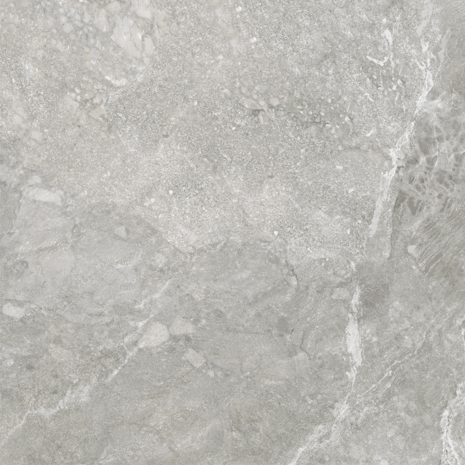 D60259M На пол Wild Light матовый 600x600x9.5 - фото 7