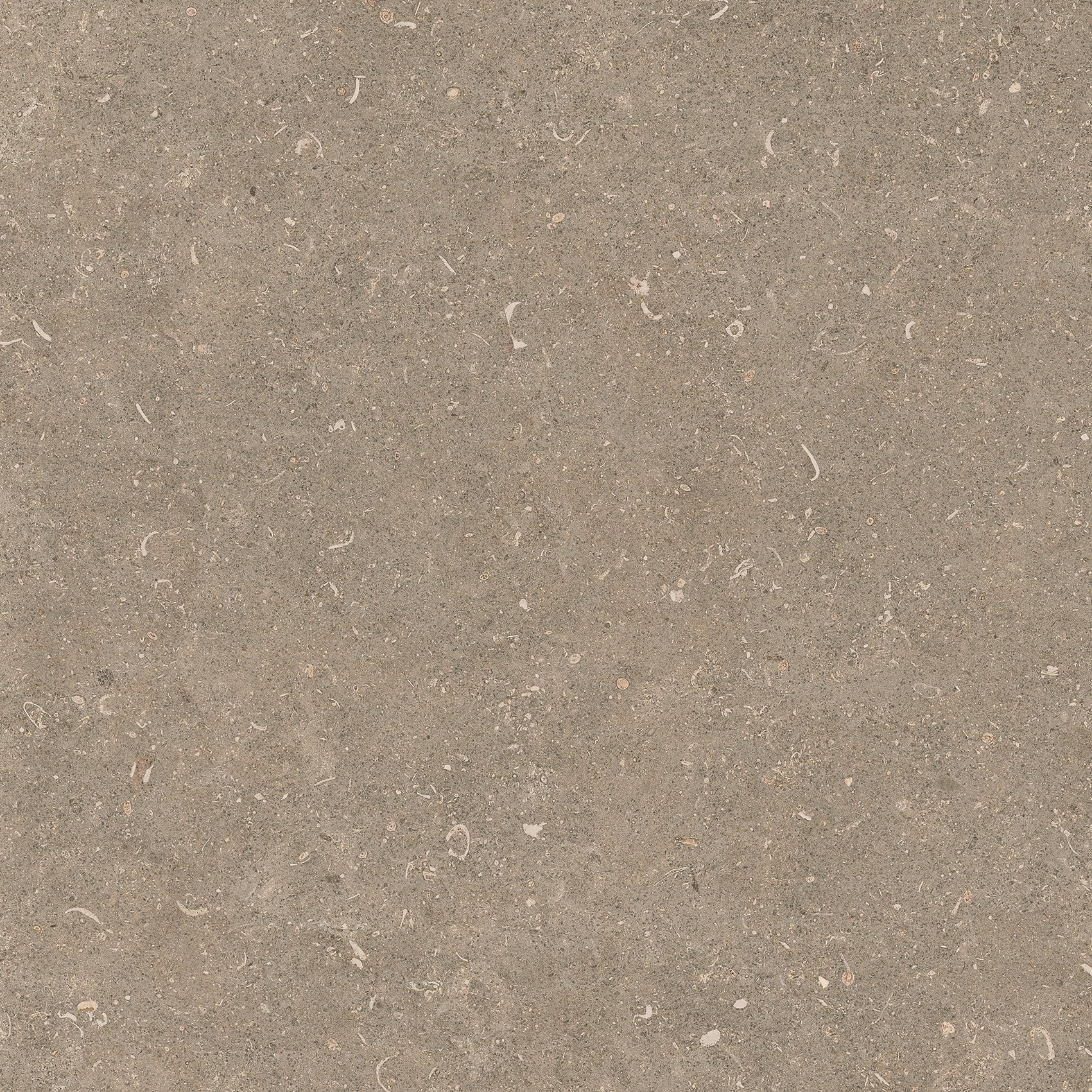 785486 На пол Rinascenza Arena Pietra Matte 60x60 - фото 5