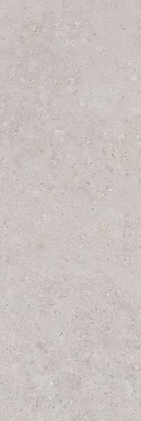 14053R Настенная Риккарди Серый Светлый Матовый Обрезной 40x120