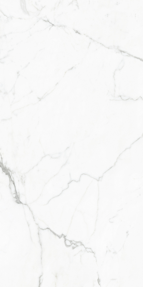 GT120604803PR На пол Elegant Statuario Белый PR 60x120 - фото 11