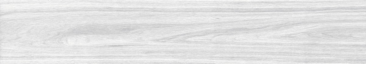 ENWD1024MT20120 На пол Wood Foresta Bianco Matt - фото 5