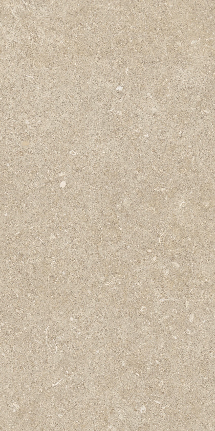 785489 На пол Rinascenza Arena Conchiglia Matte 30x60 - фото 9